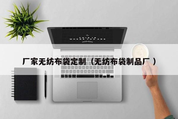 厂家无纺布袋定制（无纺布袋制品厂 ）
